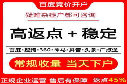 竞价托管服务对比：不同平台的优劣分析